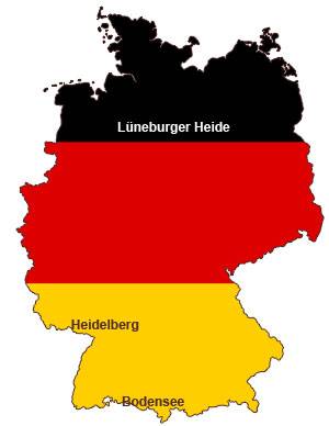 03_dflag.jpg